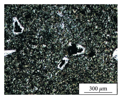 Details are in the caption following the image