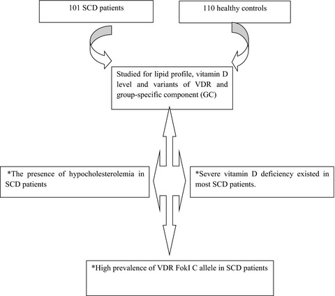 Vitamin D level, lipid profile, and vitamin D receptor and transporter gene variants in sickle cell disease patients from Kurdistan of Iraq