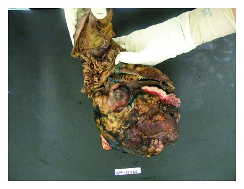 Details are in the caption following the image Details are in the caption following the image