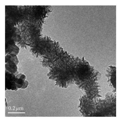 Details are in the caption following the image