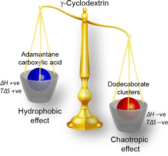 Water Structure Recovery in Chaotropic Anion Recognition: High-Affinity Binding of Dodecaborate Clusters to γ-Cyclodextrin