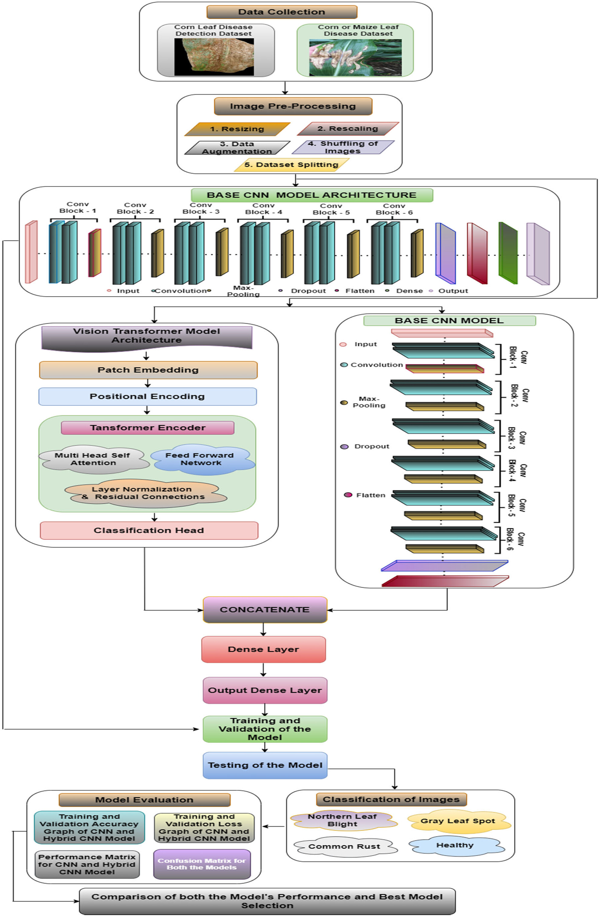 Enhanced Maize Leaf Disease Detection and Classification Using an Integrated CNN-ViT Model