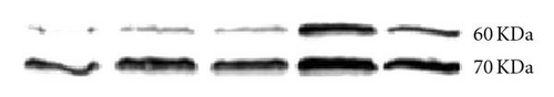 Details are in the caption following the image