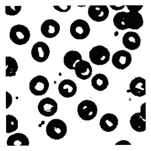 Details are in the caption following the image