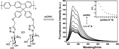 Glucosamine Hydrochloride Functionalized Water-Soluble Conjugated Polyfluorene: Synthesis, Characterization, and Interactions with DNA