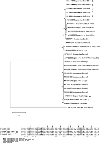 Details are in the caption following the image Details are in the caption following the image