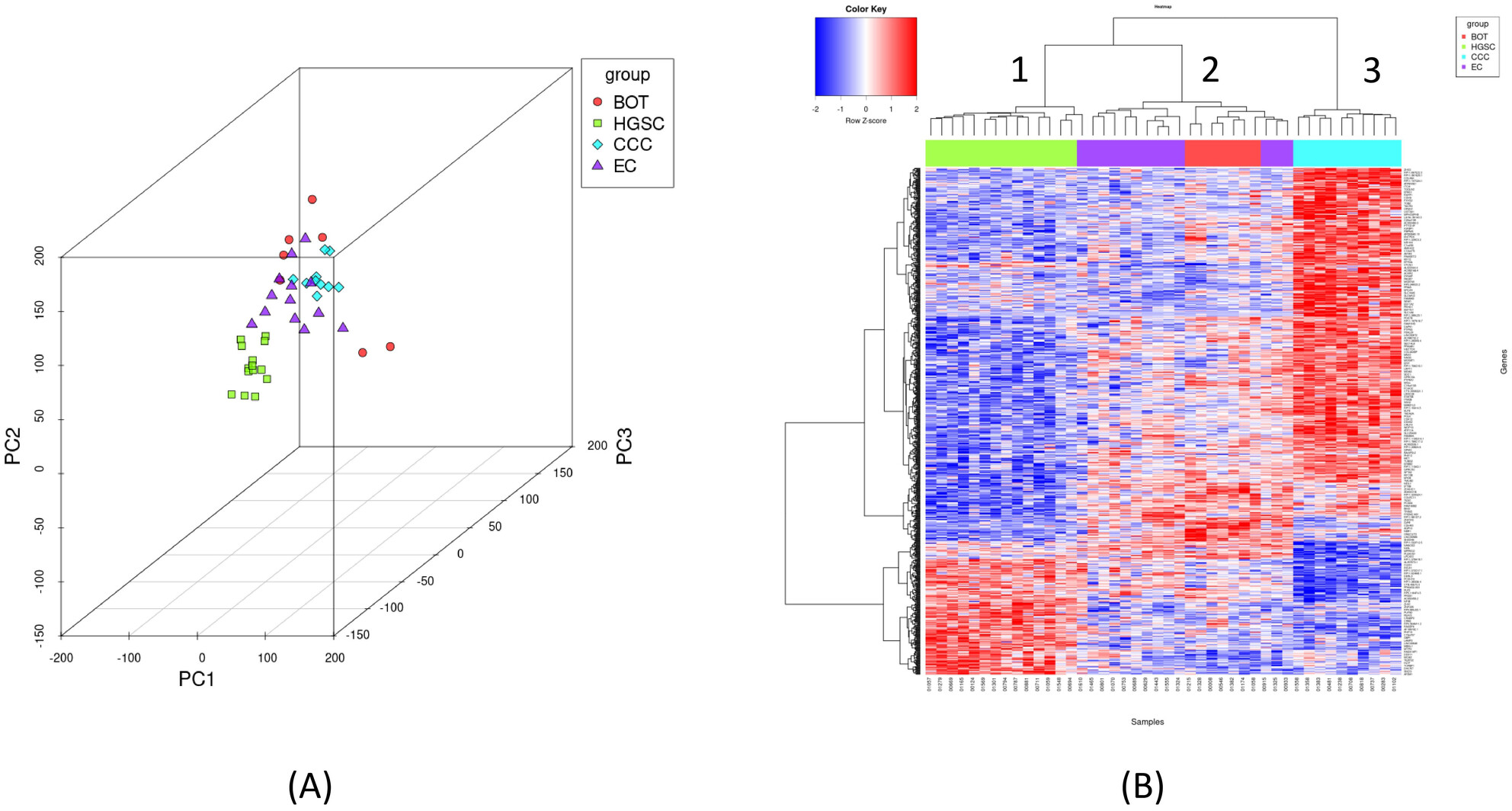 Transcriptome Concordance Between Borderline Tumors and Endometrioid Carcinoma: An Integrative Genomic Analysis