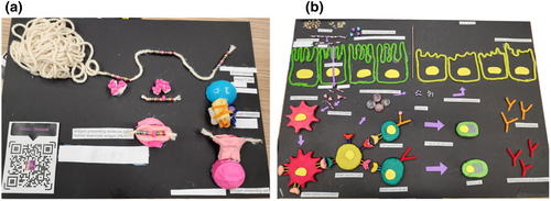 Details are in the caption following the image Details are in the caption following the image
