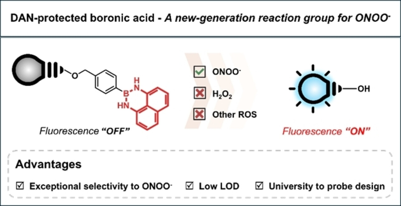 Diaminonaphthalene Boronic Acid (DANBA): New Approach for Peroxynitrite Sensing Site