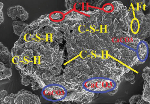 Details are in the caption following the image