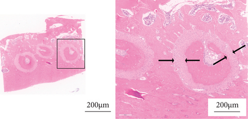 Details are in the caption following the image