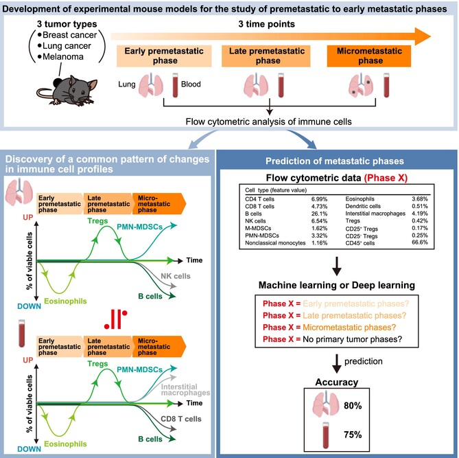 Immune Cell Profiling Reveals a Common Pattern in Premetastatic Niche Formation Across Various Cancer Types