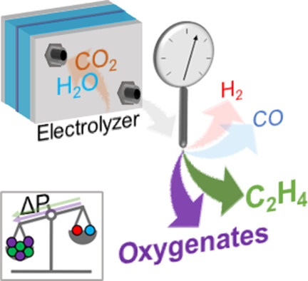 Controlling Product Distribution of CO2 Reduction on CuO-Based Gas Diffusion Electrodes by Manipulating Back Pressure