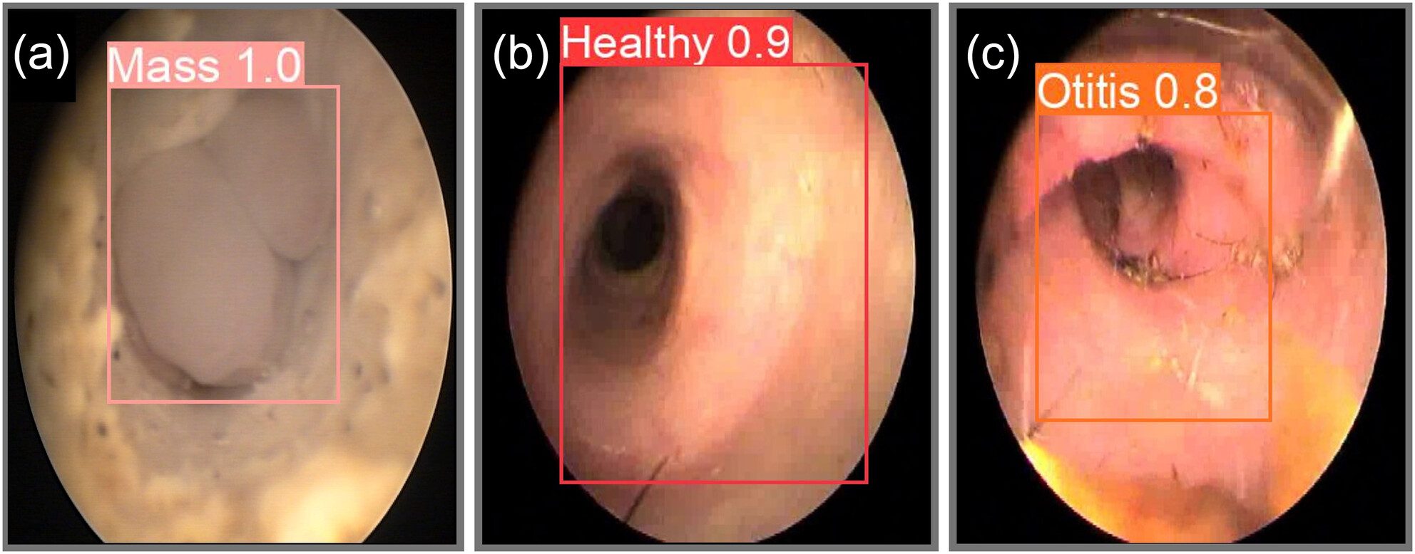 Detection of canine external ear canal lesions using artificial intelligence