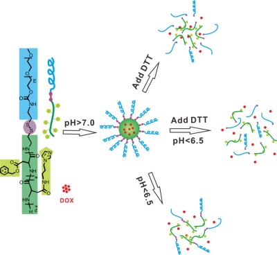 Synthesis and characterization of biodegradable pH and reduction dual-sensitive polymeric micelles for doxorubicin delivery