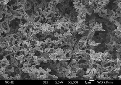 Affinitive Poly(vinylidene difluoride) Membranes for Enhancing Au(III) Separation with Extremely High Selectivity