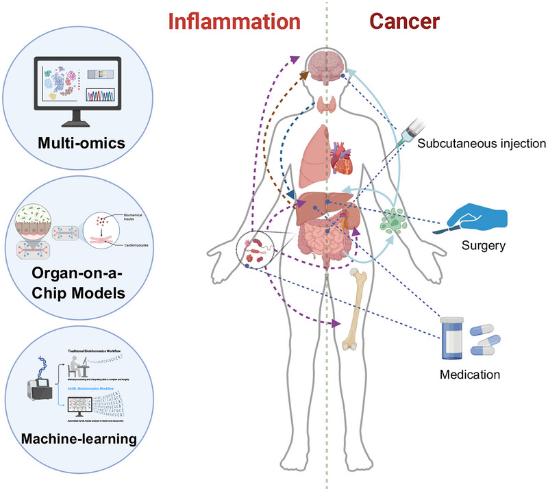 The Interplay of Cross-Organ Immune Regulation in Inflammation and Cancer