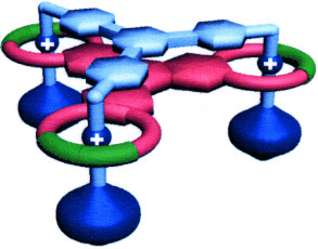 The Exclusivity of Multivalency in Dynamic Covalent Processes