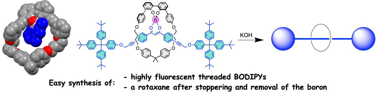 Threading a Linear Molecule Through a Macrocycle Thanks to Boron: Optical Properties of the Threaded Species and Synthesis of a Rotaxane