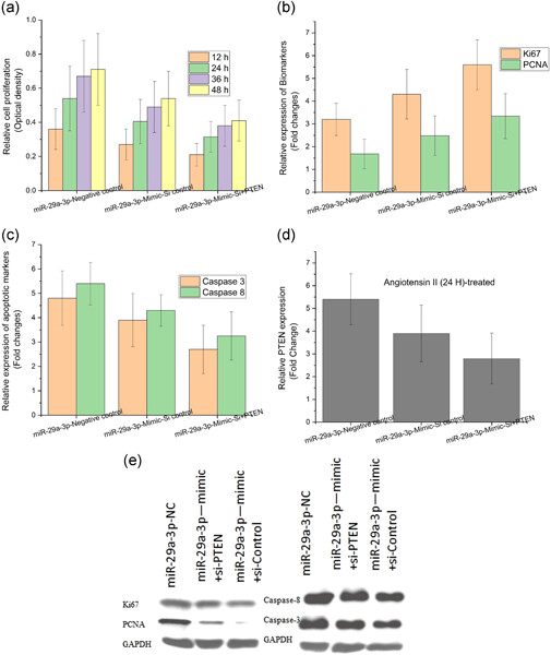 RETRACTED: MicroRNA-29a-3p regulates abdominal aortic aneurysm development and progression via direct interaction with PTEN