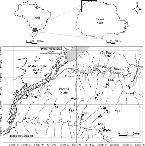 Human impacts alter the distribution of fish functional diversity in Neotropical stream system