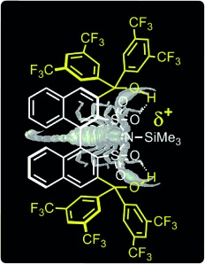 Towards High-Performance Lewis Acid Organocatalysis