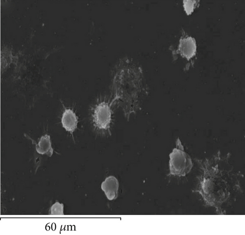 Details are in the caption following the image