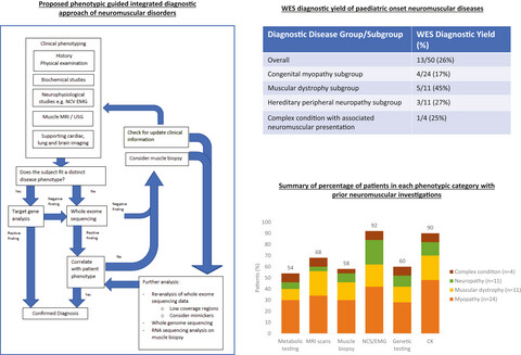 Diagnostic value of whole-exome sequencing in Chinese pediatric-onset neuromuscular patients