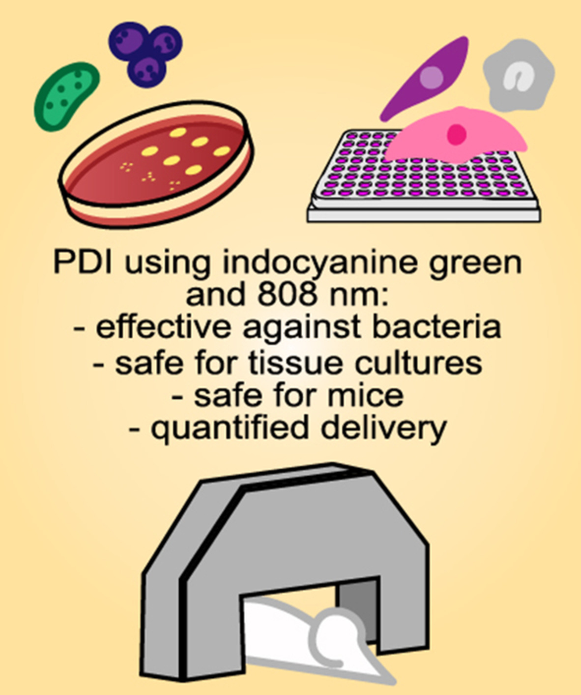 Safety and delivery efficiency of a photodynamic treatment of the lungs using indocyanine green and extracorporeal near infrared illumination