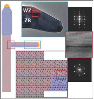 Sb Incorporation in Wurtzite and Zinc Blende InAs1−xSbx Branches on InAs Template Nanowires