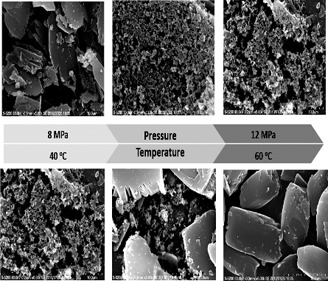 Effect of Solvent on Nanoparticle Production of β-Carotene by a Supercritical Antisolvent Process