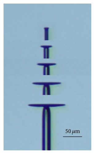 Details are in the caption following the image