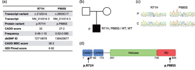 Defective RNA sensing by RIG-I in severe influenza virus infection