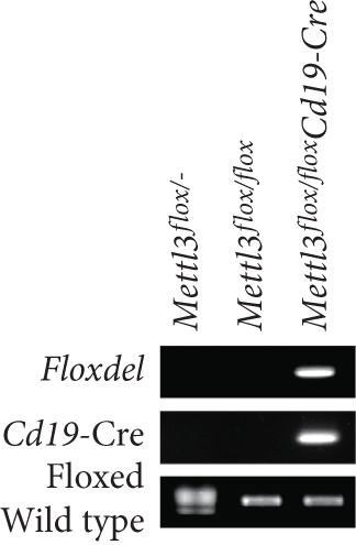 Details are in the caption following the image