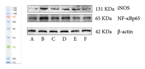 Details are in the caption following the image