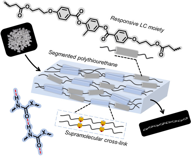 One-Pot Synthesis of Melt-Processable Supramolecular Soft Actuators