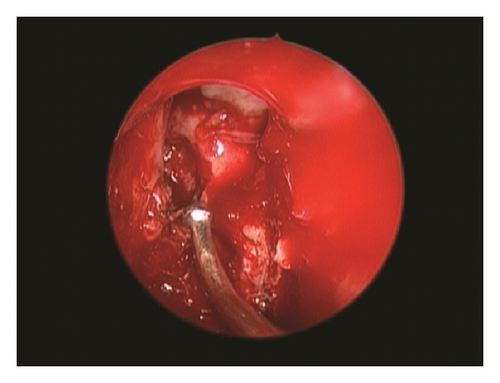 Details are in the caption following the image Details are in the caption following the image