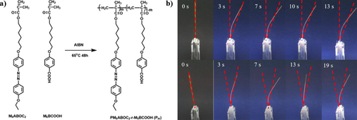 Details are in the caption following the image Details are in the caption following the image