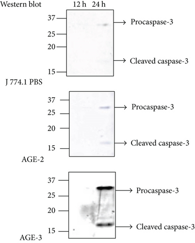 Details are in the caption following the image
