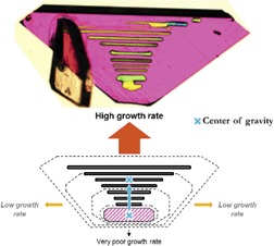 Growth Rate Dispersion at the Single-Crystal Level