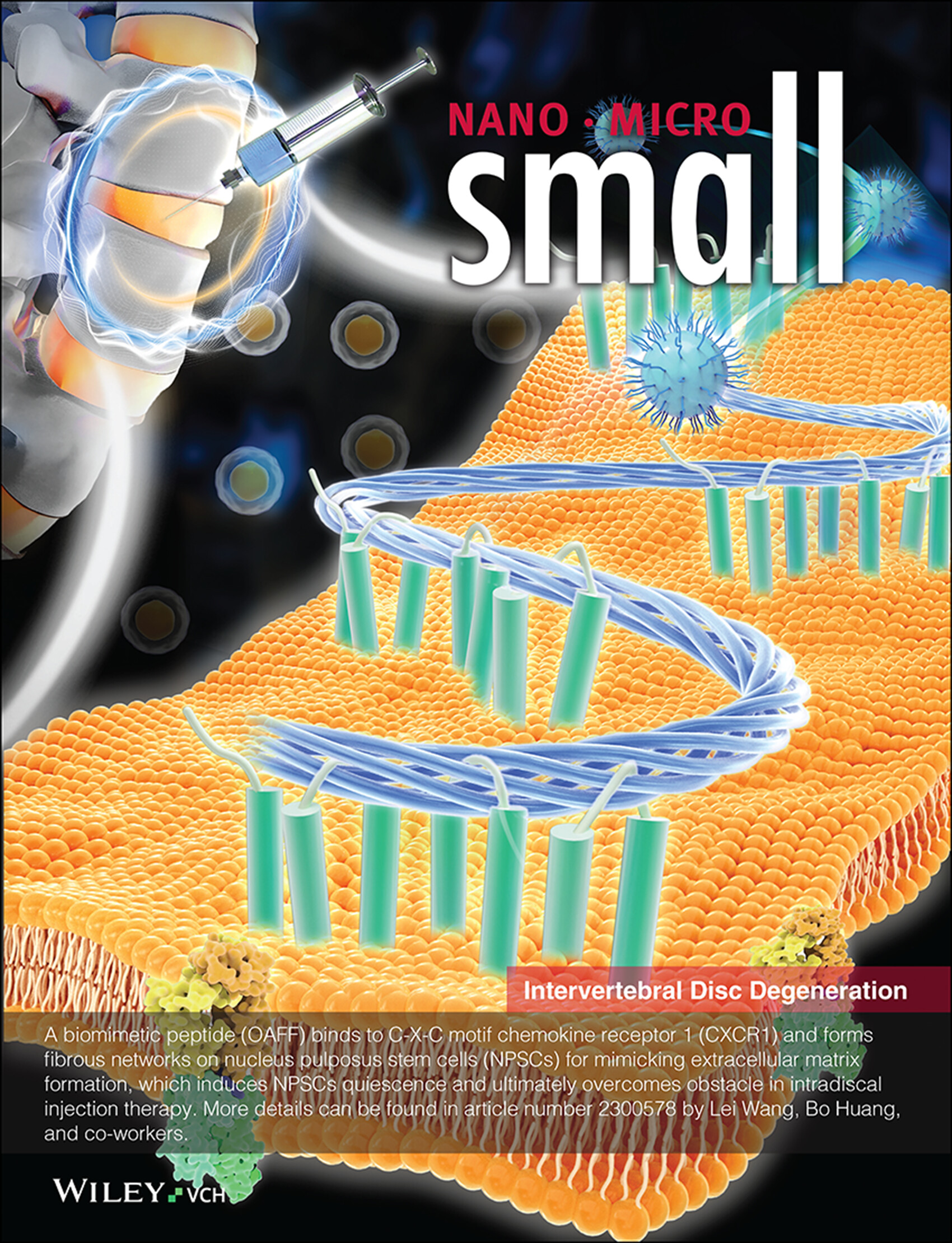 A Biomimetic Peptide Functions as Specific Extracellular Matrix for Quiescence of Stem Cells against Intervertebral Disc Degeneration (Small 44/2023) Volume 19 Issue 44, 2023