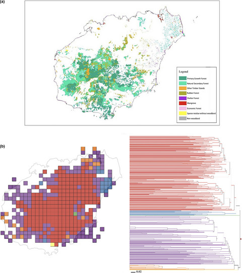 Spatial phylogenetics of the native woody plant species in Hainan, China