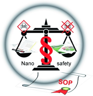 Nanosafety Research—Are We on the Right Track?
