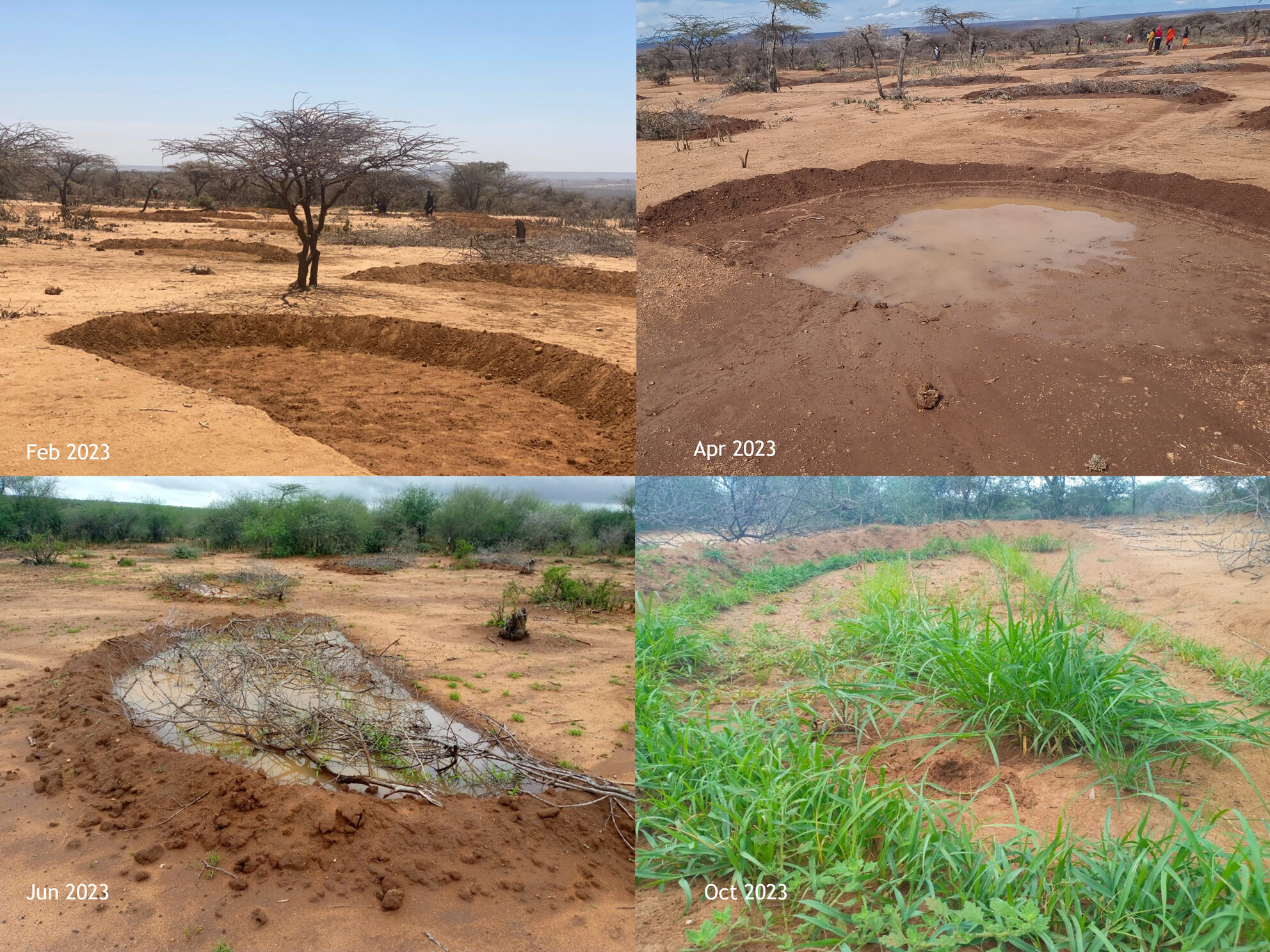 Harnessing eDNA Metabarcoding to Monitor Species Diversity in Restoration Sites: Insights From Laikipia, Kenya