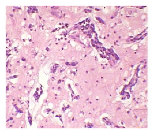 Details are in the caption following the image