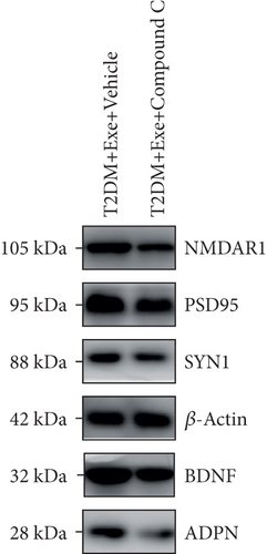 Details are in the caption following the image
