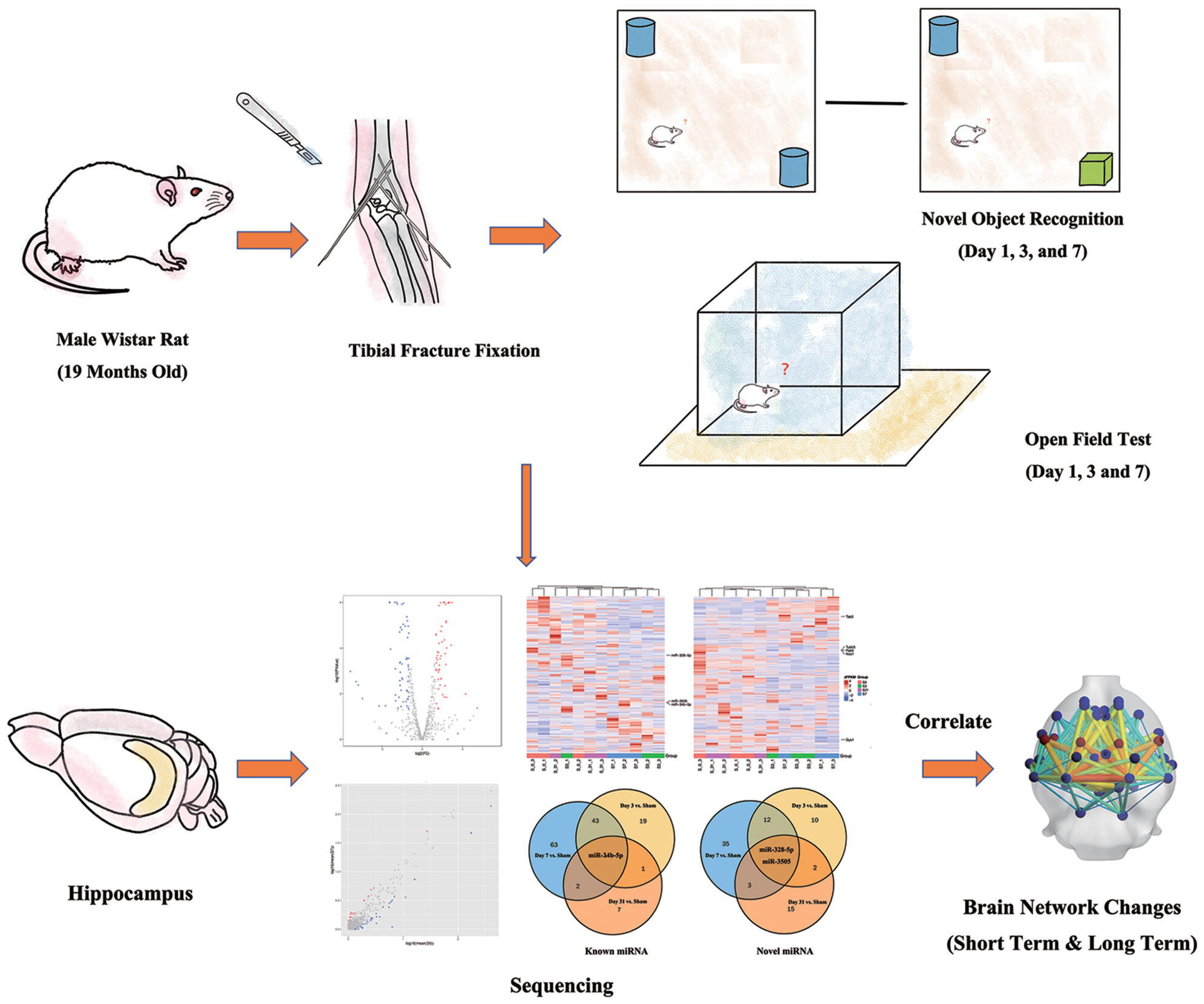 Expression of microRNA induced by postoperative delirium-like behavior is associated with long-term default mode network disruption: Sequencing and a secondary analysis of resting-state fMRI data
