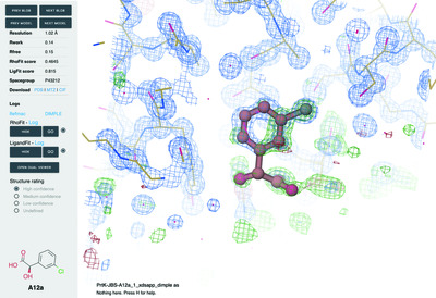 FragMAXapp: crystallographic fragment-screening data-analysis and project-management system