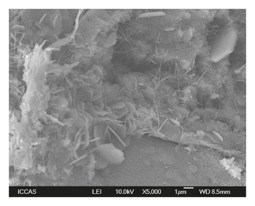 Details are in the caption following the image