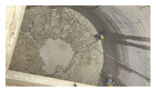 Details are in the caption following the image Details are in the caption following the image